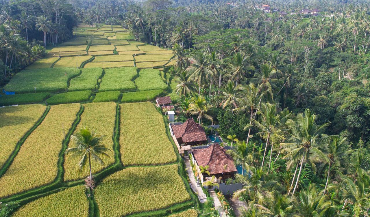 Mandana Ubud Villa Eksteriør bilde